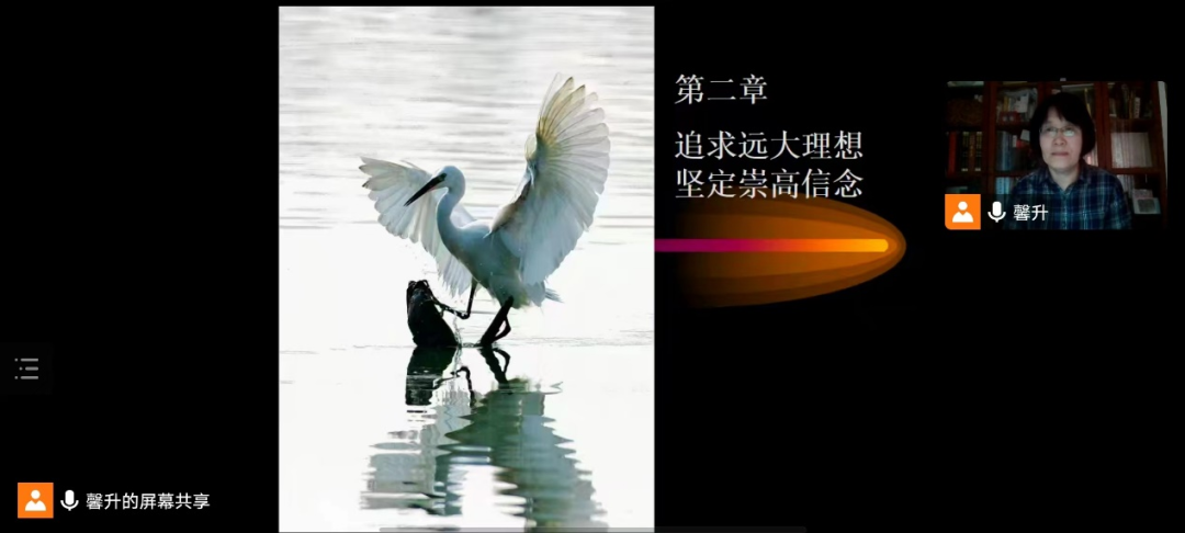 undefined undefined