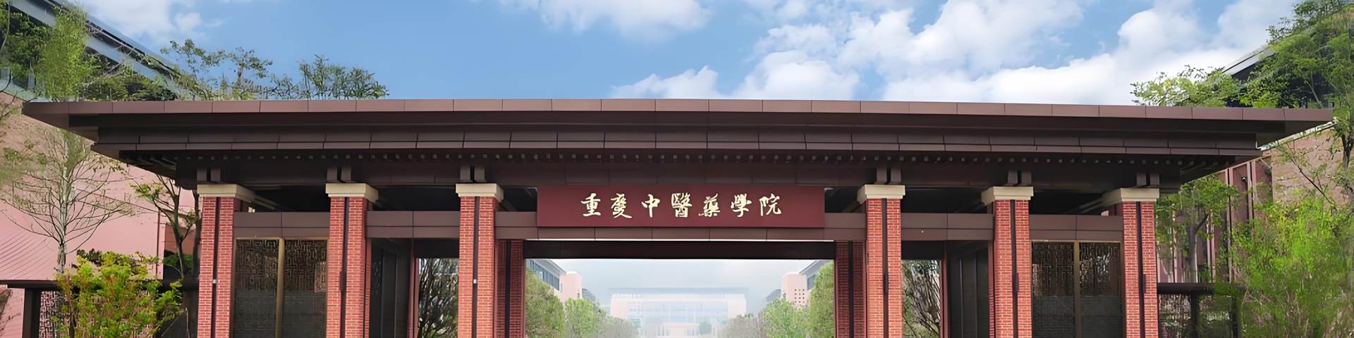 2026世界杯官网